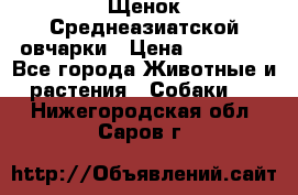 Щенок Среднеазиатской овчарки › Цена ­ 35 000 - Все города Животные и растения » Собаки   . Нижегородская обл.,Саров г.